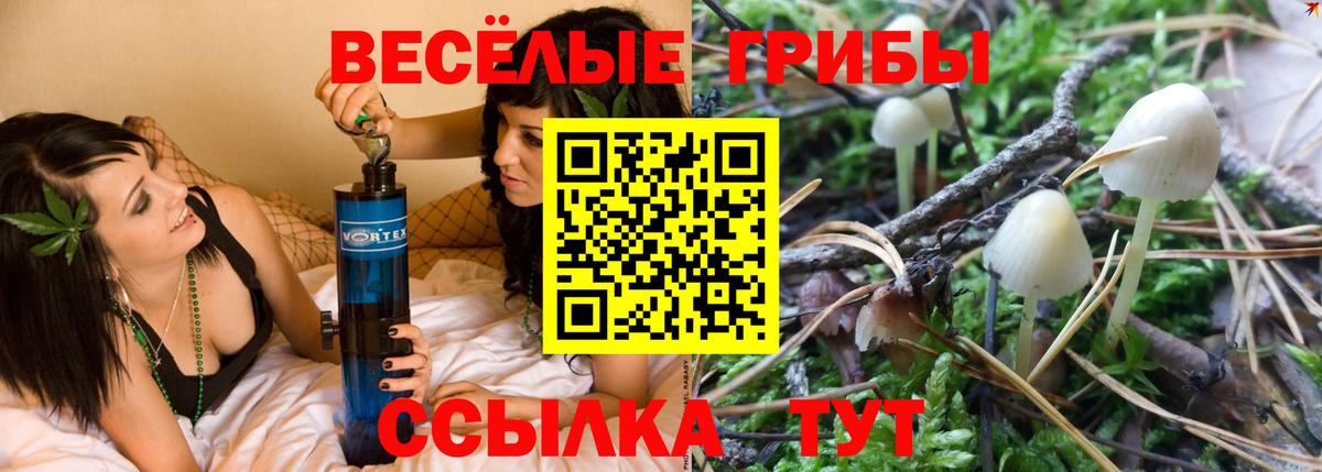 Губкин  Галлюциногенные грибы ЛСД  Галлюциногенные грибы мицелий  Вход с VPN 